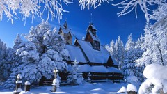 Landscapes Trees winter HDR Photography