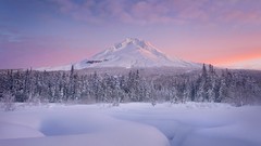 Landscapes Trees winter HDR Photography
