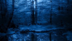 Landscapes Trees winter HDR Photography