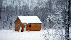 Landscapes Trees winter HDR Photography