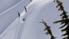 Landscapes Trees winter HDR Photography