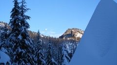 Landscapes Trees winter HDR Photography