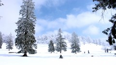 Landscapes Trees winter HDR Photography