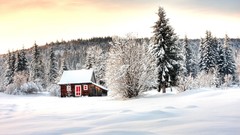 Landscapes Trees winter HDR Photography