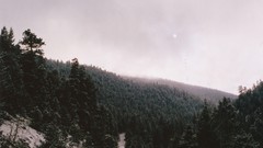 Landscapes Trees winter Mountains moon gloomy forests