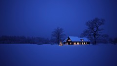 Landscapes Trees winter night blue dark ice lights lonely houses