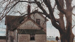 Landscapes Trees woman Photographers redheads teen abandoned 