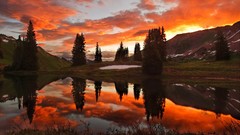 Landscapes Trees woman scenic