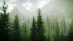 Landscapes Trees Wood the elder scrolls v skyrim forests video 