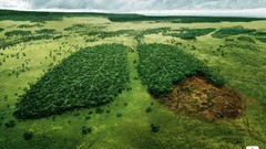 Landscapes Trees WTF lungs Truth Photo manipulation