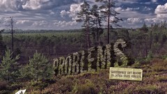 Landscapes Typography forests