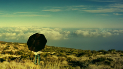 Landscapes Umbrellas
