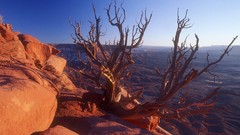 Landscapes Utah national park