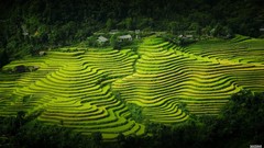 Landscapes vietnamese