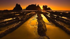 Landscapes Washington national park