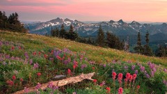Landscapes Washington Range Mount Rainier