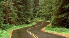 Landscapes Washington roads national park