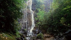 Landscapes Washington waterfalls