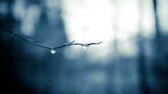 Landscapes water drop tears water drops