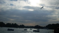 Landscapes water Eagles skyscapes