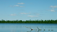 Landscapes water Estonia Wood skies blue skies