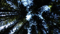 Landscapes water fortress retezat nation park