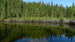Landscapes water fortress retezat nation park
