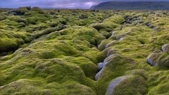 Landscapes water iceland
