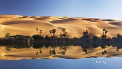 Landscapes water palm trees reflections bing deserts