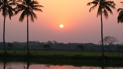 Landscapes water sun