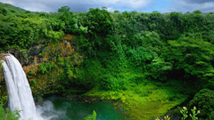 Landscapes waterfalls