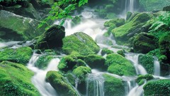 Landscapes waterfalls