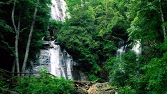 Landscapes waterfalls forests