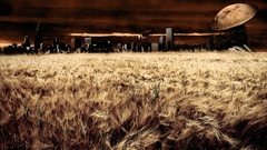 Landscapes wheat Dragons surreal