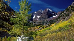 Landscapes white Colorado forests National