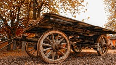 Landscapes widescreen low-angle shot