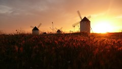Landscapes windmills