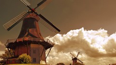 Landscapes windmills Netherlands