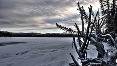 Landscapes winter Canada snow-white