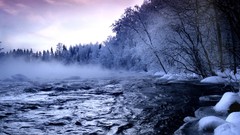 Landscapes winter forests