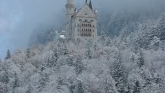 Landscapes winter forests germany