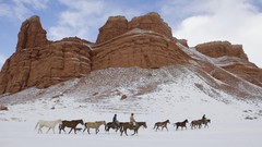 Landscapes winter Horses shell Wyoming Cowboys