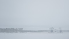 Landscapes winter houses