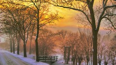 Landscapes winter morning roads