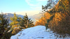Landscapes winter Mountains forests