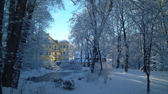 Landscapes winter Parks