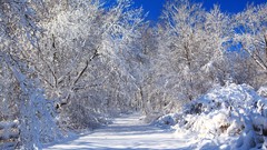 Landscapes winter roads