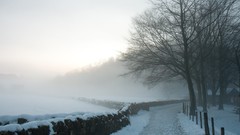 Landscapes winter roads paths