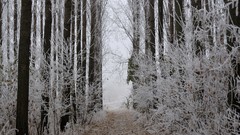 Landscapes winter romania