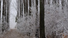 Landscapes winter romania